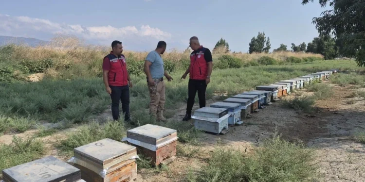 Antakyada bal sagimi suruyor