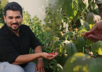 Kaymakam olacaktı, kendi bahçesinin patronu oldu: Bolu’daki bu tarlada ye yemediğini öde!