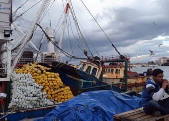 Denizde av yasağı 1 Eylül’de bitiyor: ‘Bu yıl Ege’de sardalya, Karadeniz’de palamut bekleniyor’