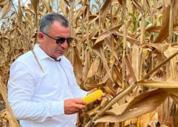 Emir Kayhan: Kozan’da mısır alım fiyatı en az 17 TL olmalı