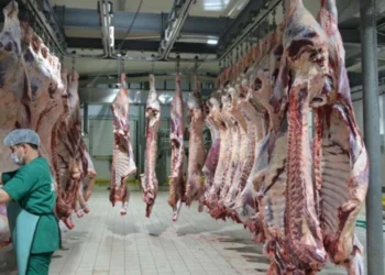Et kesim fiyatlarında dikkat çeken hareket! UKON 594 lira açıkladı sahada fiyatlar farklı