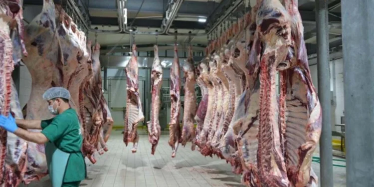 Et kesim fiyatlarında dikkat çeken hareket! UKON 594 lira açıkladı sahada fiyatlar farklı 1 Et kesim fiyatlari