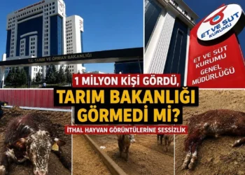 1 milyon kişi gördü, Tarım Bakanlığı görmedi mi? İthal hayvan görüntülerine sessizlik
