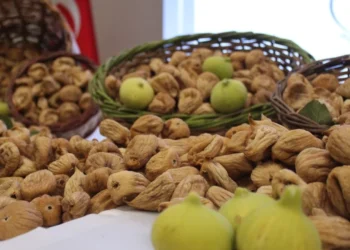 Kuru incirde sezonun ilk fiyatı belli oldu: Kilosu 850 TL