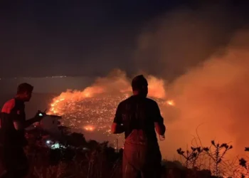 Orman yangınları 6 yılda 7 kat arttı! Prof. Dr. Erdoğan Atmış “Ormanlar devlet eliyle işgal ediliyor” dedi