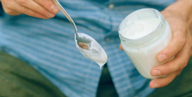Suzme yogurt mu lor peyniri mi