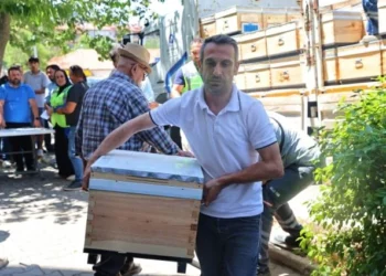 Antalya Büyükşehir, Gündoğmuş ve İbradı'nda arı kovanı desteği - Tarım Pusulası