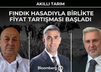 Akıllı Tarım – Fındık Hasadıyla Birlikte Fiyat Tartışması Başladı