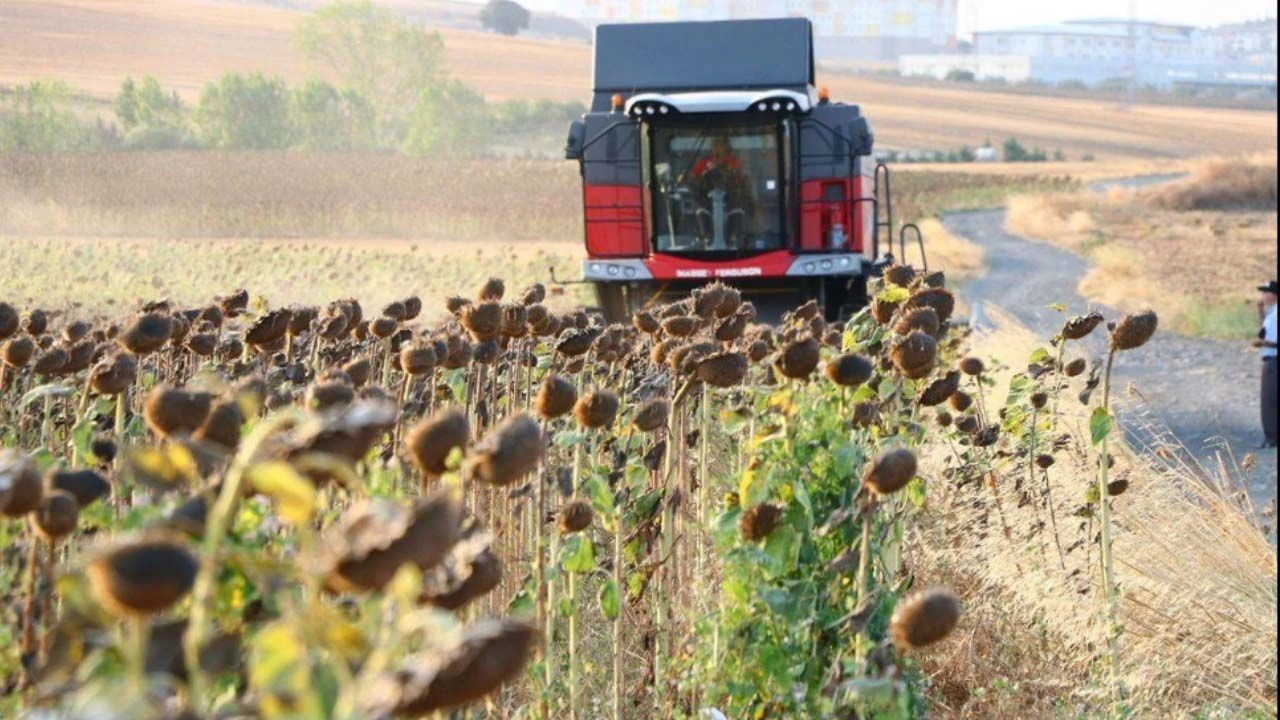 Üretimi Tarım Bakanlığı planlıyor ama piyasayı kim yönetiyor? Ayçiçeği kararı tartışma başlattı