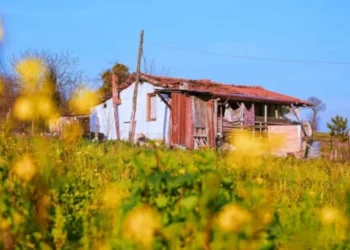 Bağ evi için kritik karar tarım arazilerinde 5 hektar şartı kaldırıldı - Tarımdan Haber