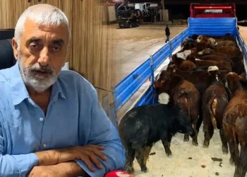 Besiciden ESK’ye dikkat çeken çağrı: İthal hayvanın kilosu 350 TL’ye çekilsin