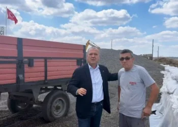 CHP’li Aygun’dan ayçiçeği üreticisi için ithalat tepkisi - Tarım Pusulası
