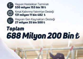 688 milyon liralık tarımsal destekleme ödemesi bugün çiftçilerin hesaplarına aktarılıyor