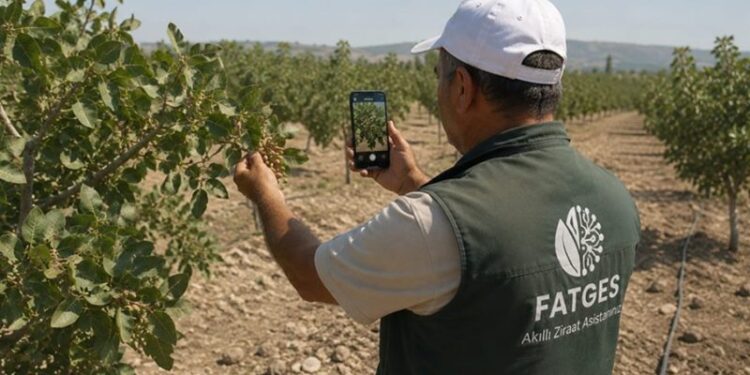 Çiftçinin Telefonu, Dijital Ziraat Mühendisine Dönüşüyor 1 dijital ziraat