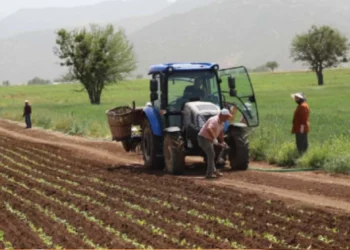 Dünya tarımında dengeler bozuldu! Bir ülkede ürün yok, diğerinde alıcı yok - Tarımdan Haber