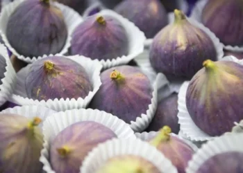 Ege İhracatçıları: Taze incirde 100 milyon dolar hedefi - Tarım Pusulası