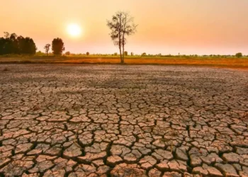 El Niño dünyayı nasıl değiştirecek? - Cumhuriyet