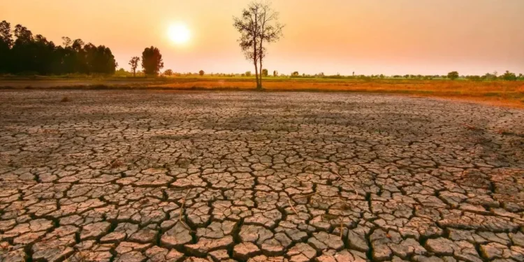 El Niño dünyayı nasıl değiştirecek? - Cumhuriyet