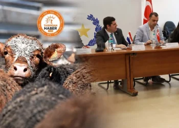 Paraguay'dan canlı hayvan ve sığır eti ithalatında kritik aşama: Türk heyeti Paraguay'da tesisleri denetliyor - Tarımdan Haber