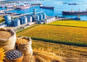Karadeniz’de artan saldırılar tahıl sevkiyatını sekteye uğrattı