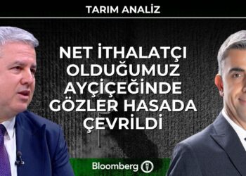 Tarım Analiz – Net İthalatçı Olduğumuz Ayçiçeğinde Gözler Hasada Çevrildi