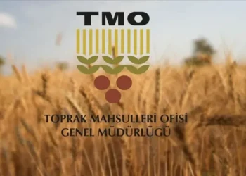 TMO: 2026 YILI HUBUBAT ÜRÜN BEDELİ ÖDEMELERİ DEVAM EDİYOR - Agro TV