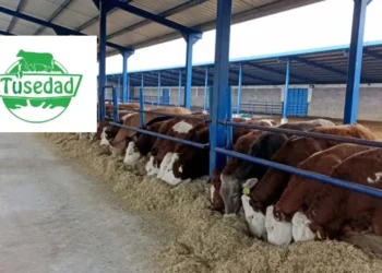 TÜSEDAD açıkladı: Temmuz ayı 1 litre sıcak çiğ süt üretim maliyeti 26,87 TL - Agro TV