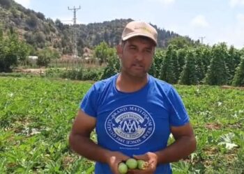 Mersin’de üreticiler isyan etti: Tarlada 15-38 TL, markette 90-138 TL