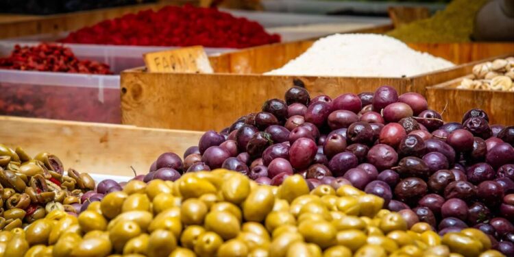 zeytin sirketi