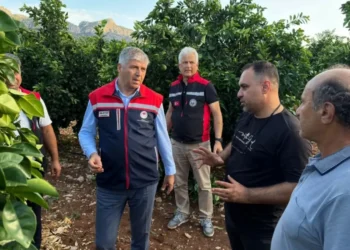 Adana’da Dolu Sonrası Tarım Alanlarında Hasar Tespiti
