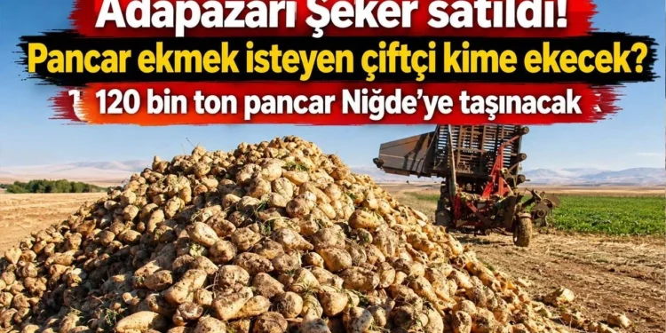 Adapazarı Şeker satıldı, pancar çiftçisinin geleceği belirsiz! 120 bin ton pancar Niğde’ye taşınacak 1 Adapazari Seker