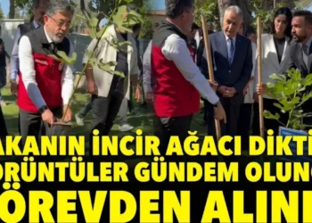 Bakan Yumaklı’nın incir ağacı diktiği görüntüler gündem olunca görevden alındı