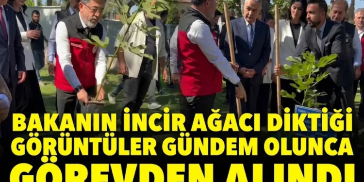 Bakan Yumaklinin incir agaci diktigi goruntuler