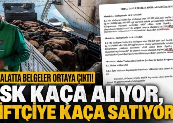Besilik sığır ithalatında belgeler ortaya çıktı! ESK kaça alıyor, çiftçiye kaça satıyor?