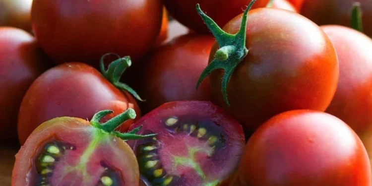 Domatesten bir kotu haber daha