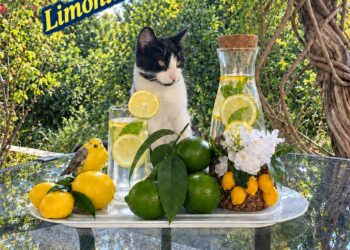 Ferahlamak için limonlu su için !