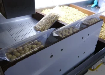 Fındıkta yeni kazanç modeli: Yüzde 40’tan yüzde 200’e kadar kâr