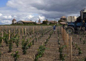 Fransa şiddetli kuraklık yüzünden su kullanımını kısıtladı