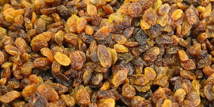 Kuru üzümde verim yüksek, kalite ve fiyat düşük! 1 Kuru uzumde verim yuksek kalite ve fiyat dusuk