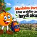 Mandalina Portakal Çantada, Haydi Okula! 7 Mandalina Portakal Çantada, Haydi Okula!