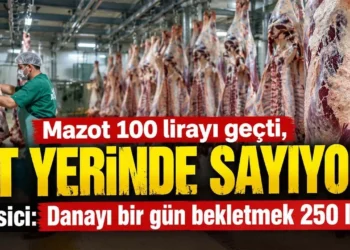 Mazot 100 lirayı geçti, et yerinde sayıyor! Besici: Danayı bir gün bekletmek 250 lira