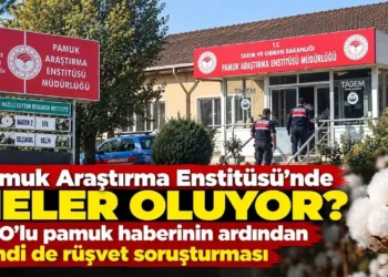 Pamuk Araştırma Enstitüsü’nde neler oluyor? GDO’lu pamuk haberinin ardından şimdi de rüşvet soruşturması