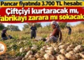 Pancar fiyatında 3.700 TL hesabı: Çiftçiyi kurtaracak mı, fabrikayı zarara mı sokacak?