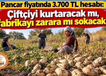 Pancar fiyatında 3.700 TL hesabı: Çiftçiyi kurtaracak mı, fabrikayı zarara mı sokacak?