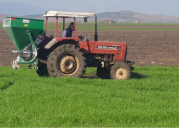 Rusya Türkiye’ye gübre kısıtlamalarını kaldırmayı planlıyor