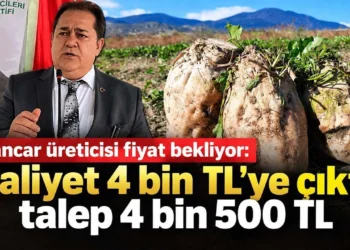 Şeker pancarında fiyat çağrısı: 4 bin TL’ye mal oluyor, en az 4 bin 500 TL isteniyor