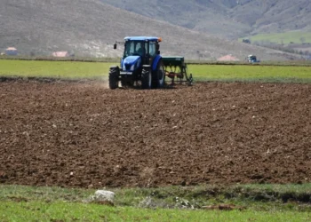 Tarım-GFE verileri açıklandı: Girdi maliyetleri yükseldi