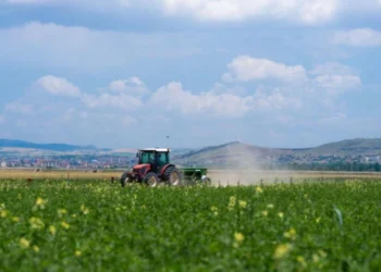 Tarım Kredi’nin asıl işi ne: Çiftçiyi üretimde tutmak mı, market büyütmek mi? 4 Tarım Kredi’nin asıl işi ne: Çiftçiyi üretimde tutmak mı, market büyütmek mi?