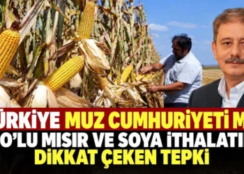 “Türkiye muz cumhuriyeti mi?” GDO’lu mısır ve soya ithalatına dikkat çeken tepki