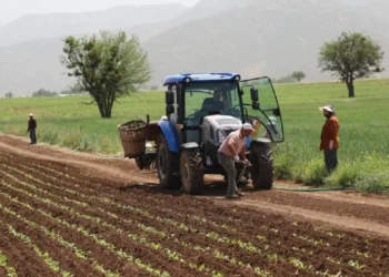 Türkiye’de tarımsal destekleme modeli kökten değişmeli